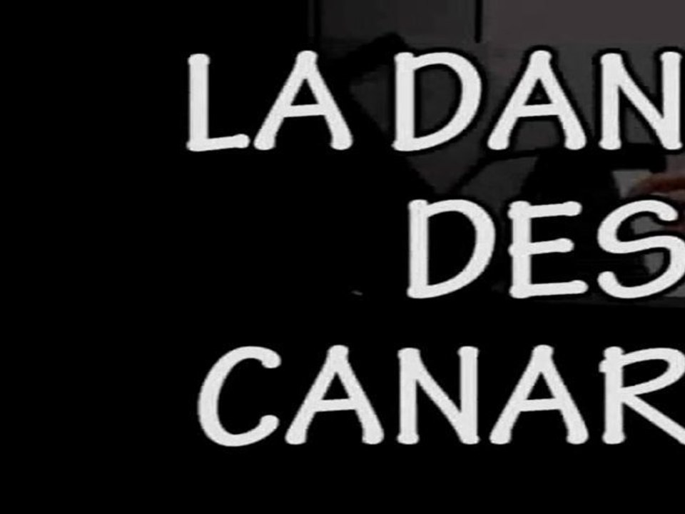 La Danse des Canards - Piano Déprime