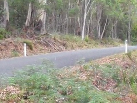 Rally Stage Competitor - Targa Tasmania 2011