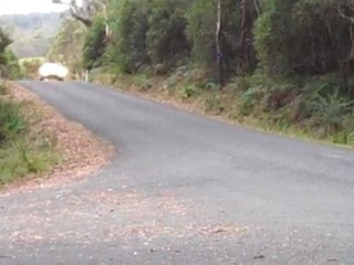 911 Porsche - Targa Tasmania 2011