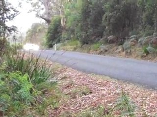 Cars That Are Fast - Targa Tasmania 2011