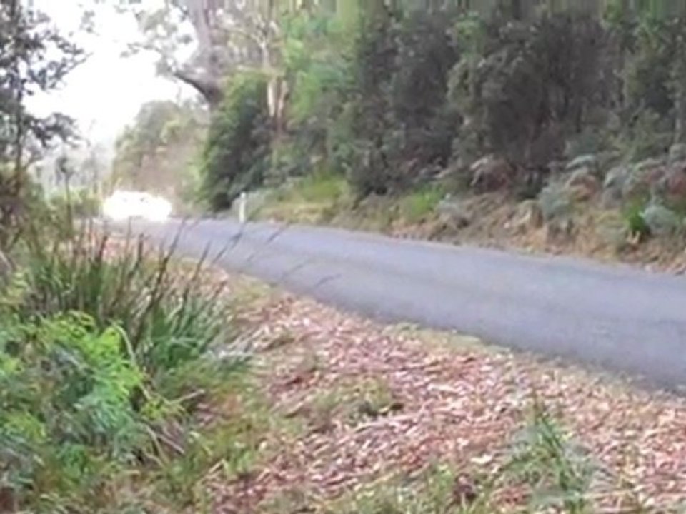 Cars That Are Fast - Targa Tasmania 2011