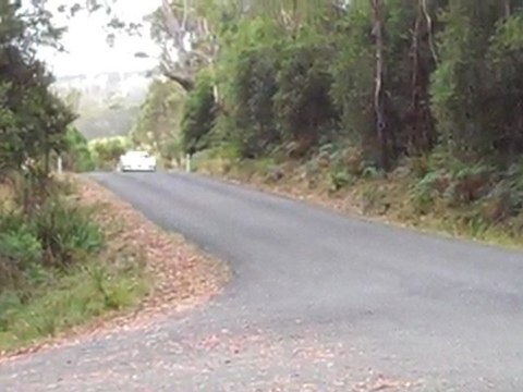 Tarmac Rally Cars - Targa Tasmania