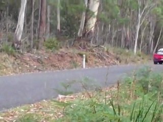 Skyline Nissan - Targa Tasmania 2011