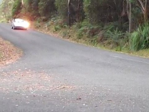 Porsche 911 Car Rally - Targa Tasmania