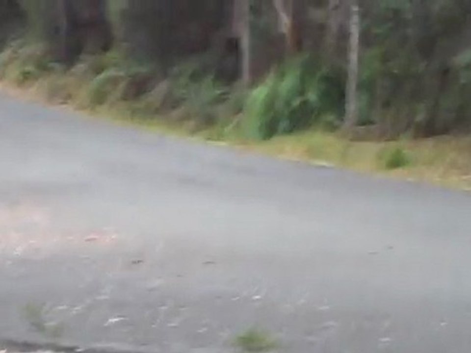 Fast Fast Cars - Targa Tasmania 2011