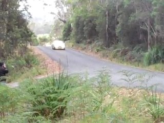 BMW M3 Fast - Targa Tasmania 2011
