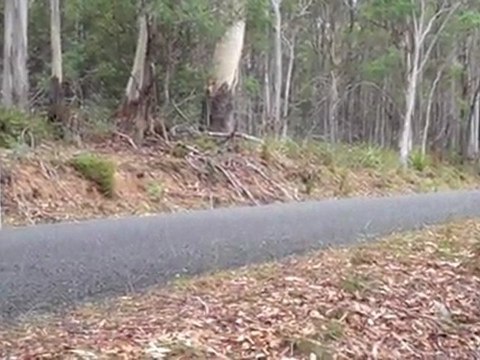 Nissan Skyline Fast - Targa Tasmania 2011