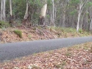 Nissan Skyline Fast - Targa Tasmania 2011
