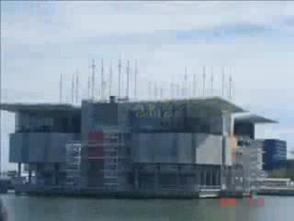Oceanario2