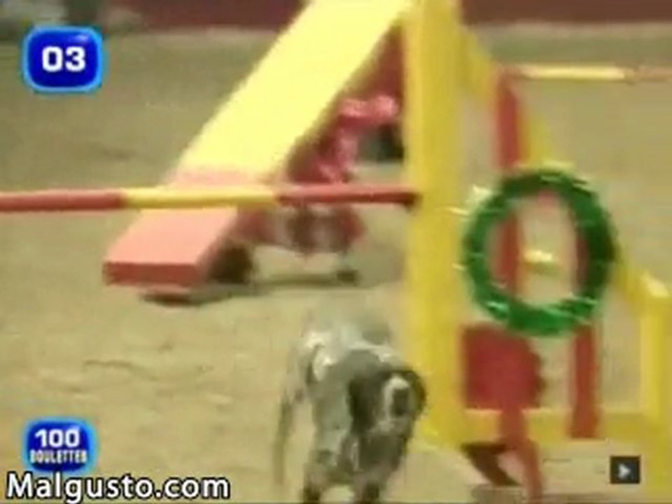 le_chien_de_luky_lukejcf