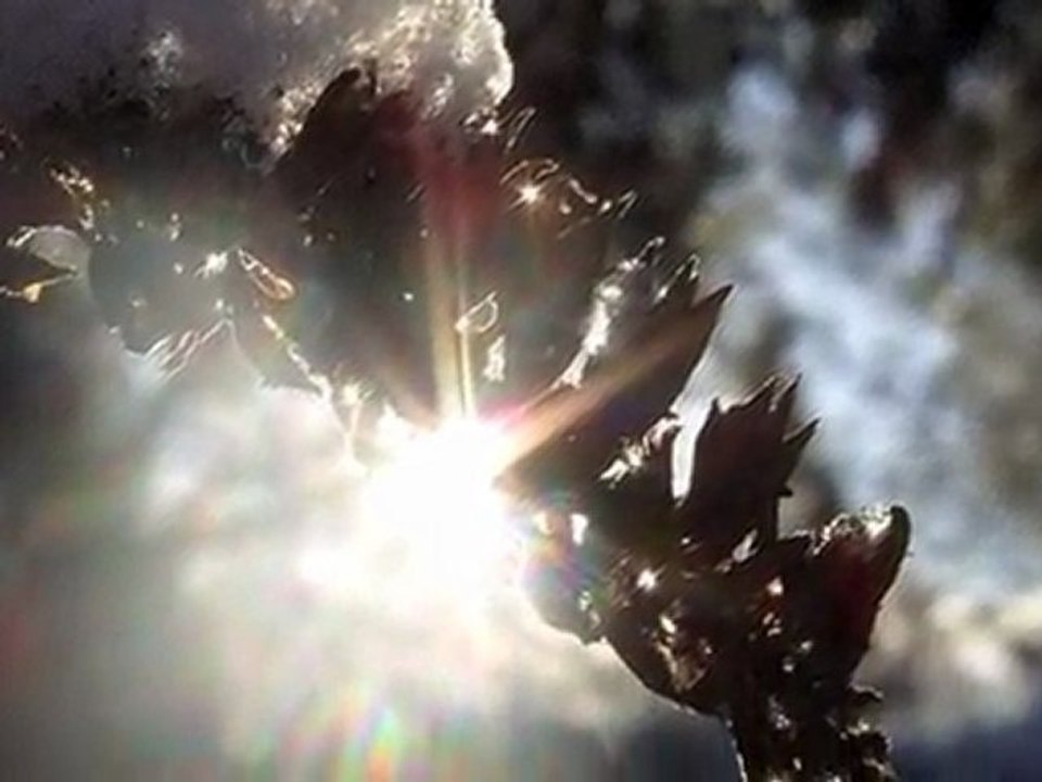 Poudre de lumière