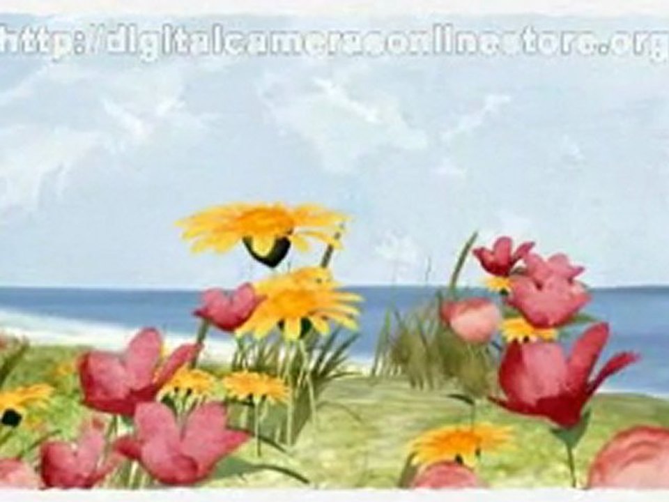 Samsung HMX-E10 Low Price