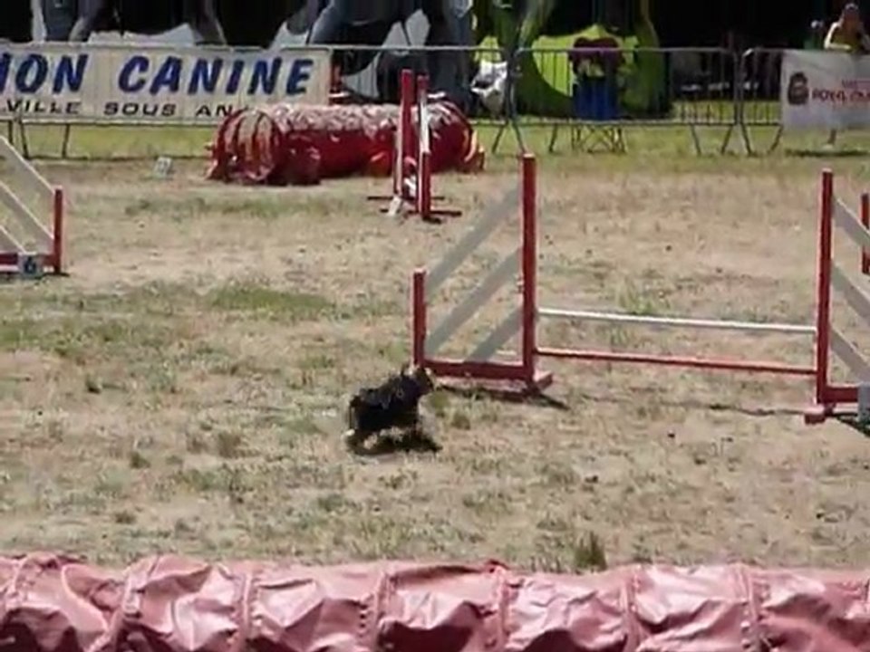 Bambou - STGR Ville sous Anjou - 2eme jour jumping