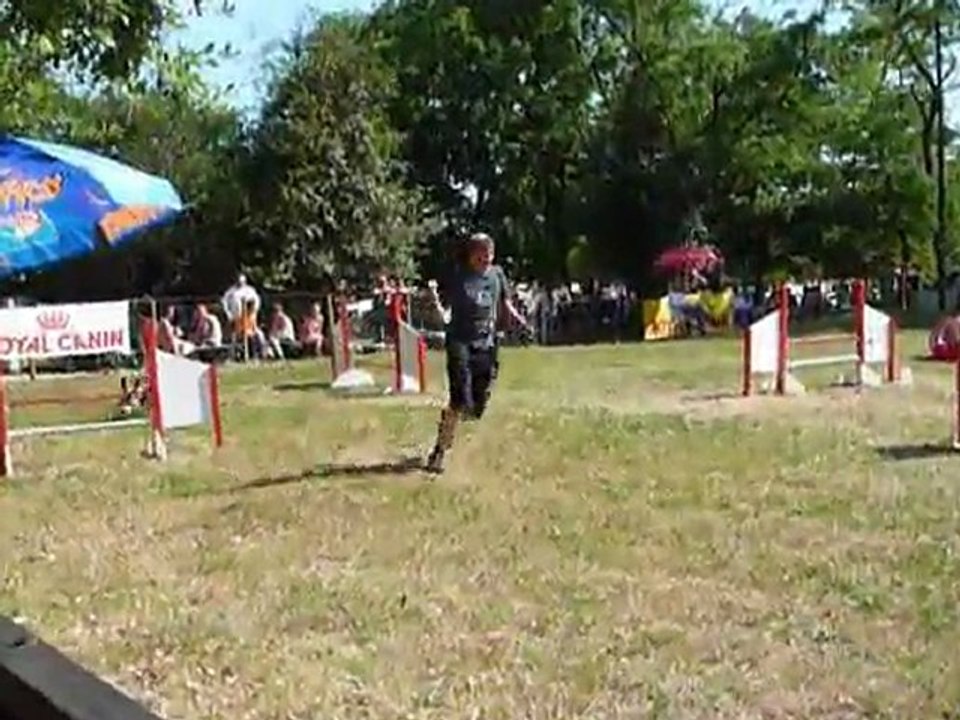 Brownie - STGR Ville sous Anjou - 1er jour jumping