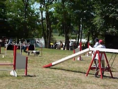 Cruz - STGR Ville sous Anjou - 2eme jour agility