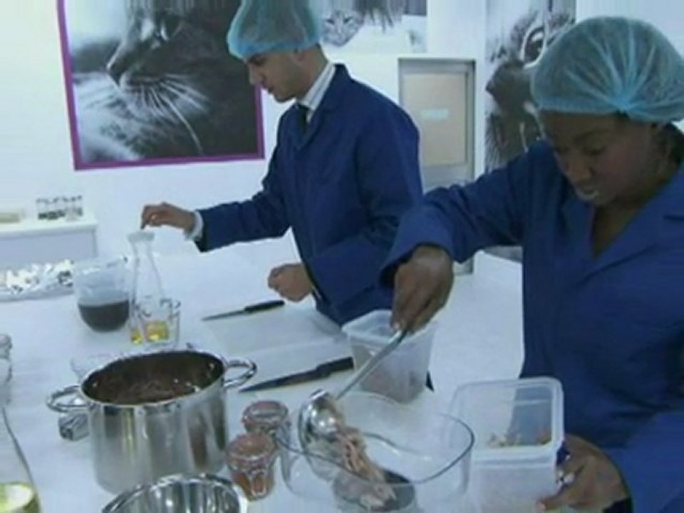 APPRENTICE: Double firing in boardroom