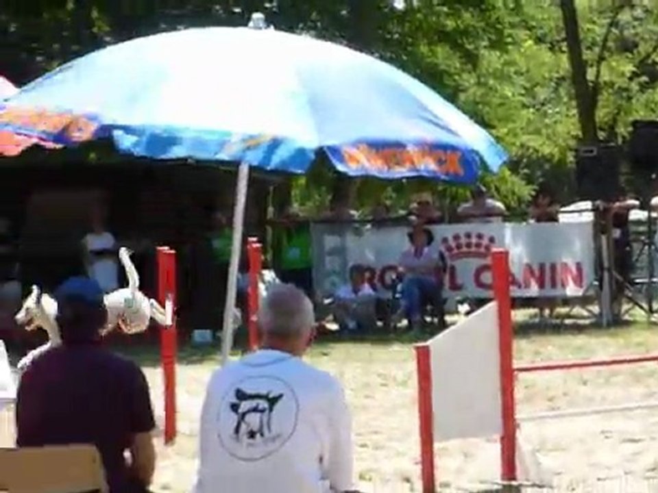 Daisy - STGR Ville sous Anjou - 2eme jour jumping