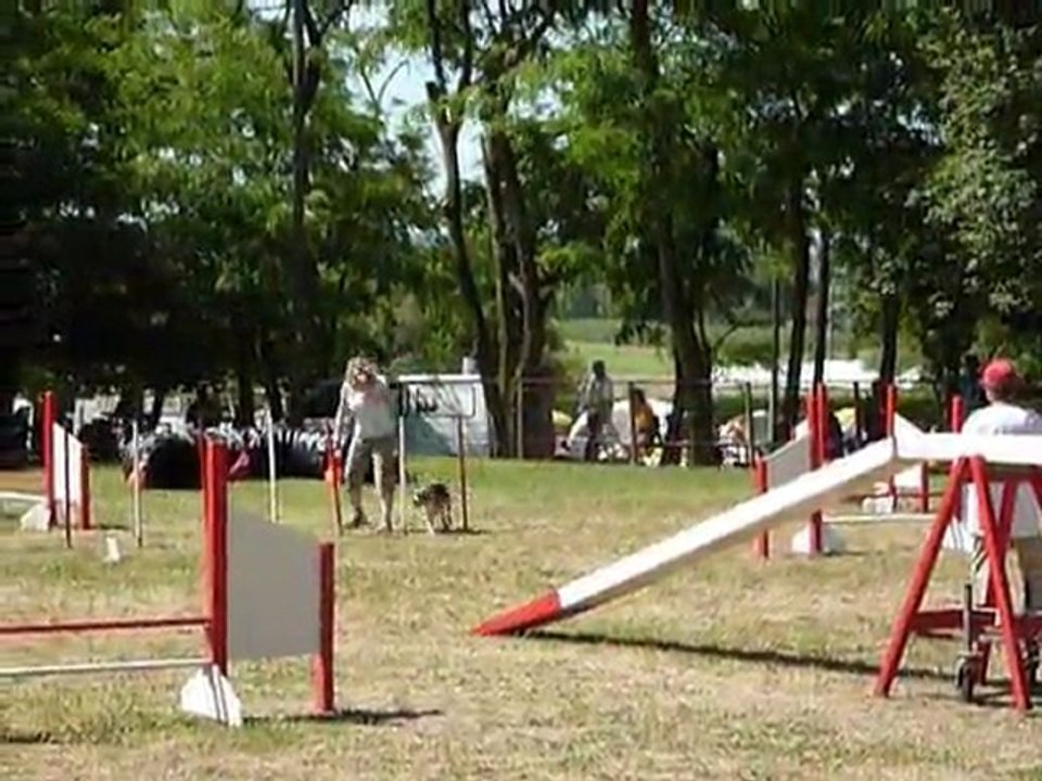 Dana - STGR Ville sous Anjou - 2eme jour agility