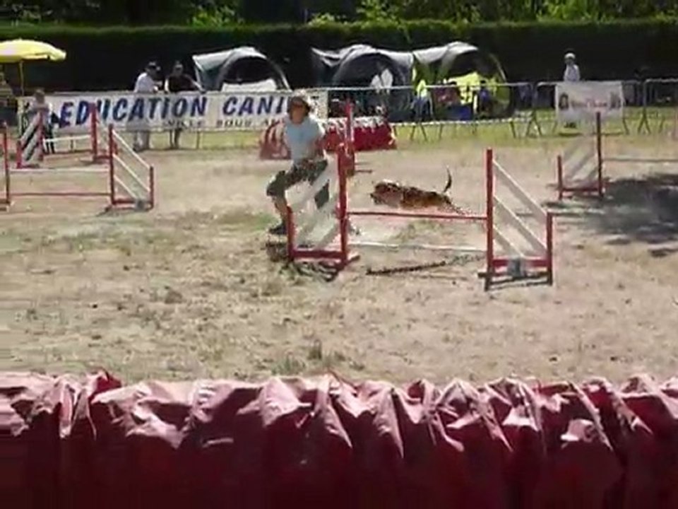 Dana - STGR Ville sous Anjou - 2eme jour jumping