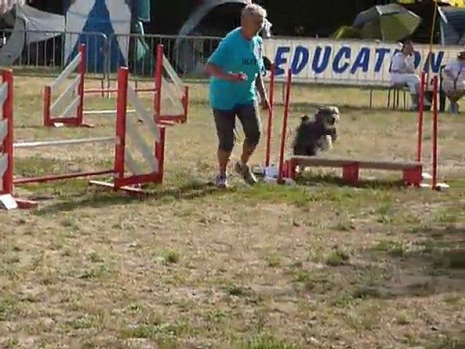 Defi- STGR Ville sous Anjou - 1er jour jumping