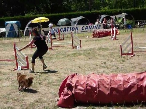 Domino - STGR Ville sous Anjou - 2eme jour jumping