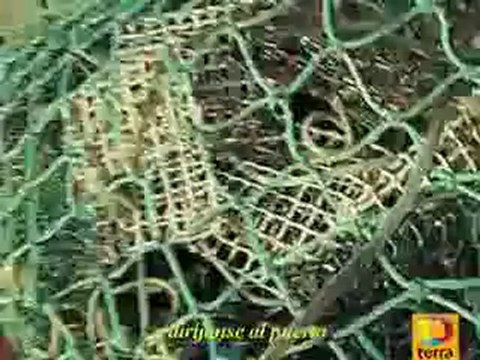 UFO DIVES UNDERWATER! RECORDED IN SPAIN