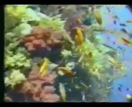 ***UNUTULAN ADAM*** Sami YUSUF- Lâ İlâhe İllallah Muhammedun Resûlullah ilahi ***UNUTULAN ADAM***