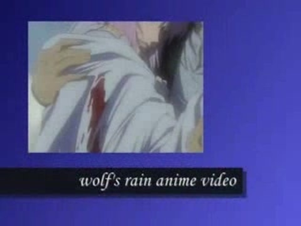 wolf's rain fv