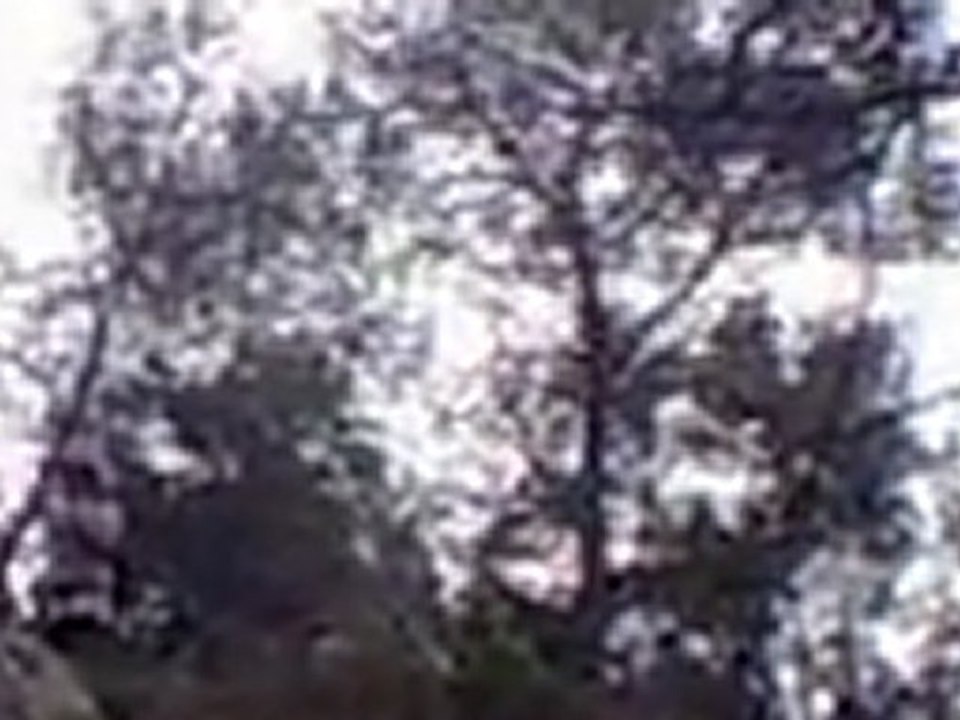 Sortie Xvtt 2 juin 2011