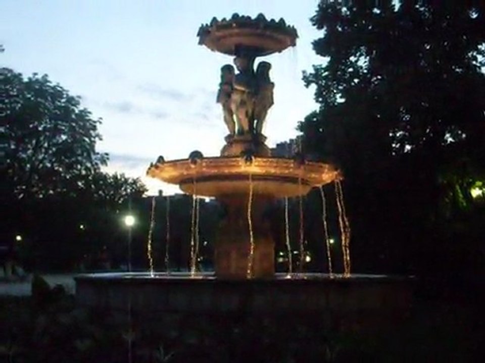 SDC12506