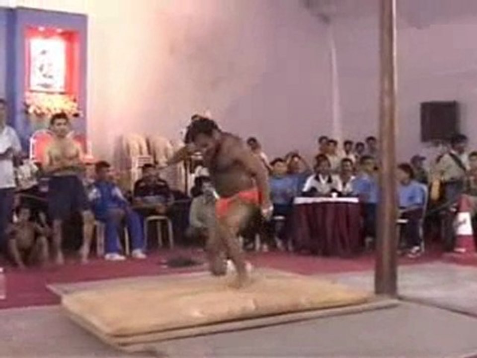 Indian_pole_gymnastics