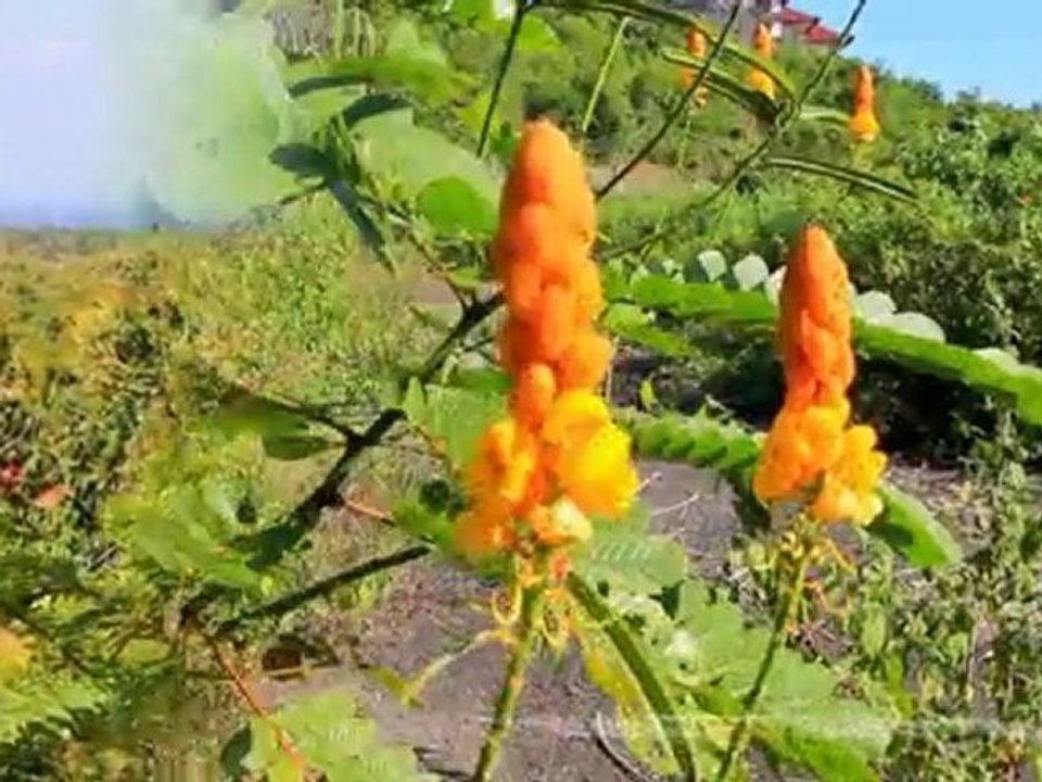 Affordable 2.5 acres Bali Nusa Dua with gorgeous panoramic v