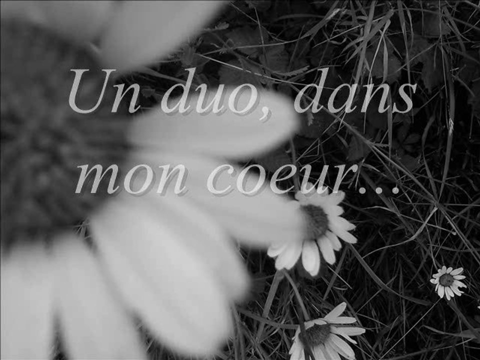 Deux chevaux, un duo, de folie.