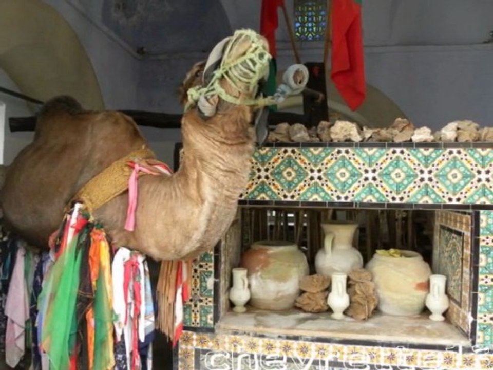 Kairouan 2