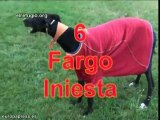 Apoyo canino a La Roja