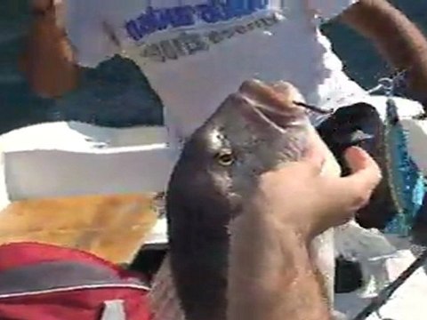 Jigging ile Sinarit Avı - adrasanbalik.com