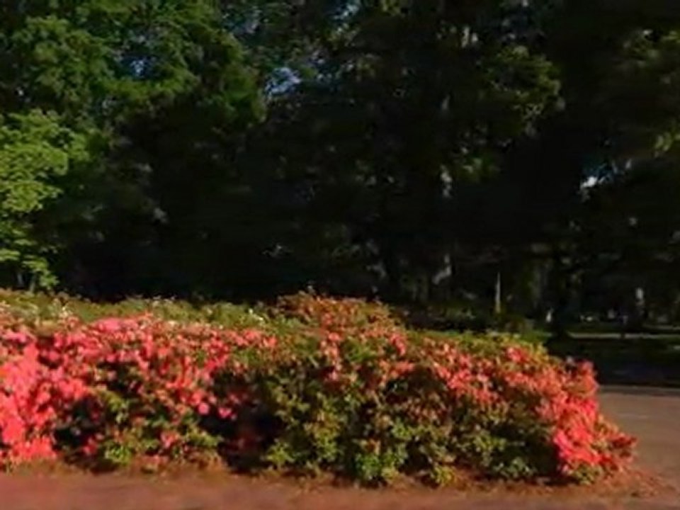 IMG_027071_60fps 1080p HD