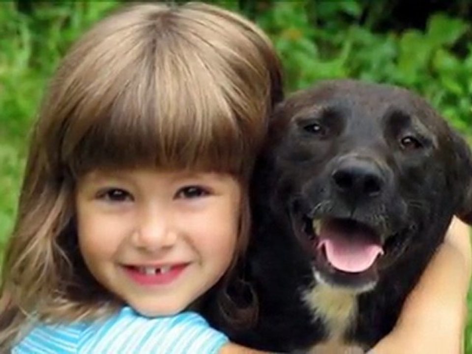 Help Shelter Dogs- Helping shelter dogs