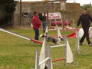 Mat Elektra GPF bompas 06/11