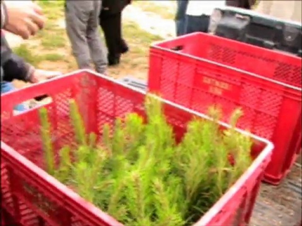 TEMA Vakfı Gönüllüleri Kayapınarda