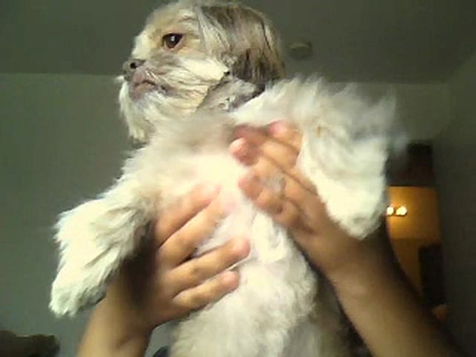 HERCULES SINGS