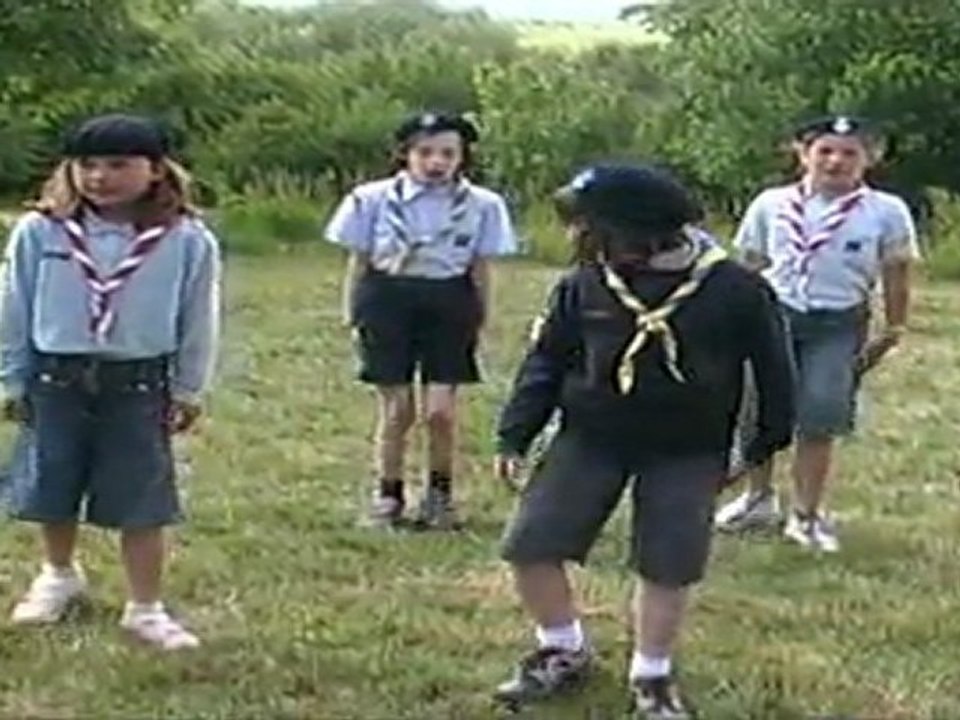 Un pingouin ça marche en coin