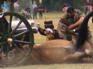 Horse injury cancels Queen's 41-gun salute