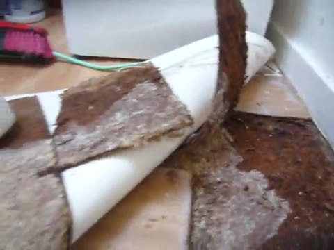 faites bien attention avant de loué un appart regarde ca dangereux pour la santé