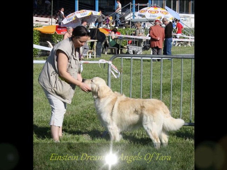 Vidéo Expo Agen du 29 mai 2011