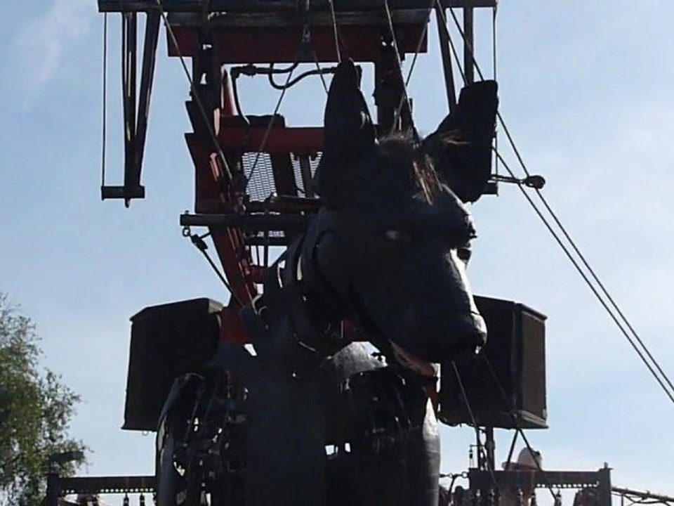 Xolo, beau même quand il bave - Royal de luxe - Nantes - Mai 2011