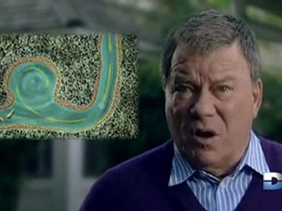 Bizarre ou quoi ? Episode 9