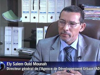 Arabic-Web-Mauritanian craftsmen struggle to save heritage