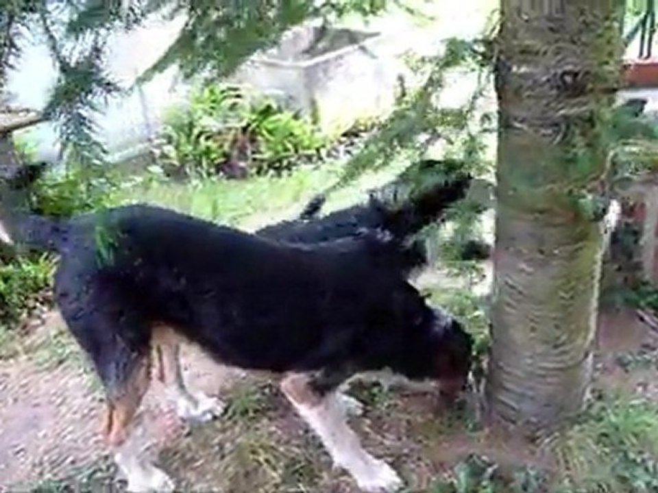 Earl avec notre club des 5