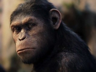 El origen del planeta de los simios - Nuevo tráiler